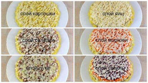 Пропорции на шубу. Вкуснущая селёдка под шубой – слой за слоем – классический пошаговый рецепт