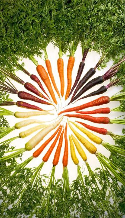 Какого цвета морковь? Морковь изначально была фиолетовой