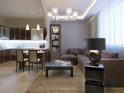 Легкие перегородки между кухней и гостиной. Какую роль выполняет перегородка между гостиной и кухней