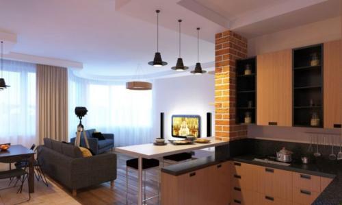 Как отделить кухню от гостиной.. Правила зонирования кухни и гостиной