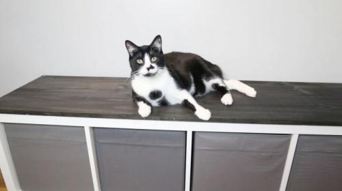 Ящик в скамью: мастер-класс по организации хранения 08 Ящик в скамью: мастер-класс по организации хранения 08