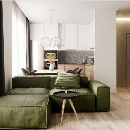 Зонирование кухня-гостиная 20 кв м дизайн. 75 свежих идей дизайна кухни-гостиной 20 кв.м (реальные фото)