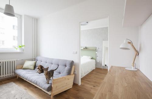 Бюджетный дизайн однокомнатной квартиры. Ищем и выбираем недорогие строительные материалы для ремонта