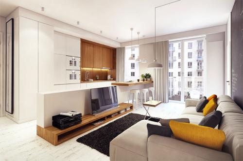 Интерьер однокомнатной квартиры в светлых тонах. Особенности интерьера однокомнатной квартиры