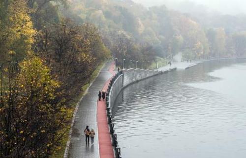 Удобный сундук для хранения овощей на балконе: как выбрать и использовать 03