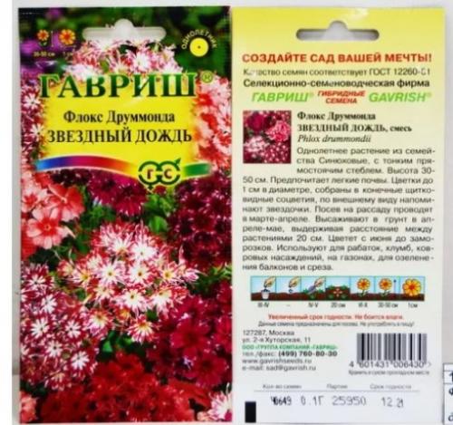 Как сажать флоксы однолетние семенами. Когда и как сажать однолетние флоксы на рассаду