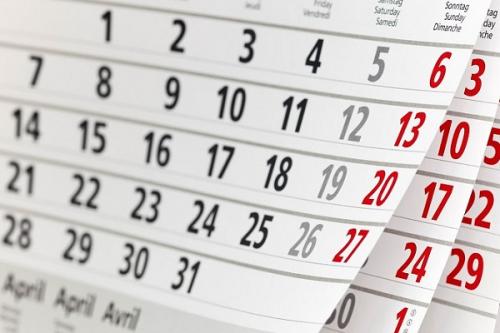 Когда сажать многолетние флоксы на рассаду. Сроки посева