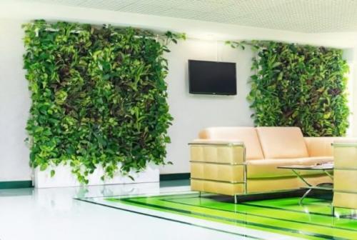 Комнатные растения в интерьере сообщение. Дизайн интерьера растениями