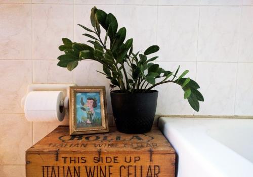 Комнатные растения и цветы в интерьере жилого дома. Комнатные растения в интерьере квартиры и дома