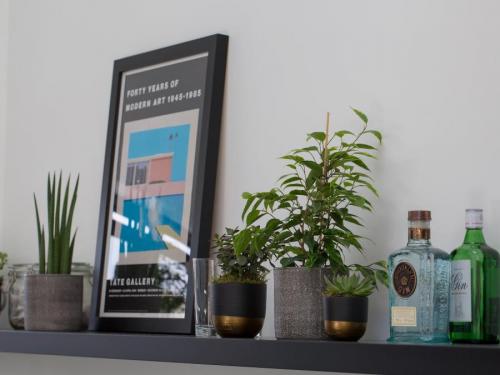 Комнатные растения и цветы в интерьере жилого дома. Комнатные растения в интерьере квартиры и дома