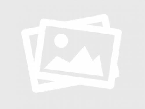 Цветы в интерьере дома. Оформление интерьера с помощью комнатных растений 26