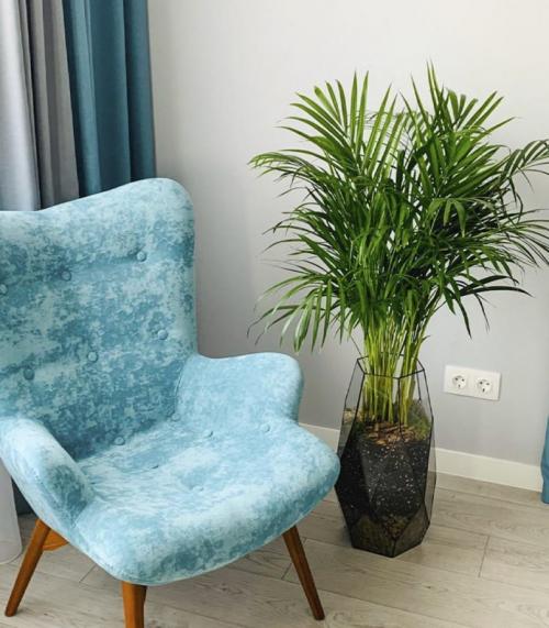 Цветы в интерьере дома. Оформление интерьера с помощью комнатных растений 06