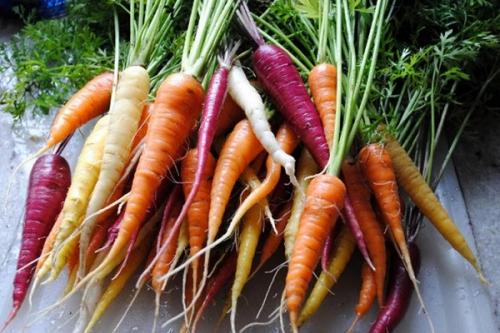 Почему морковь оранжевая