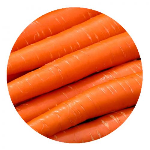 Красная морковь без сердцевины. Хороший сорт для эксперимента 04 Красная морковь без сердцевины. Хороший сорт для эксперимента 04