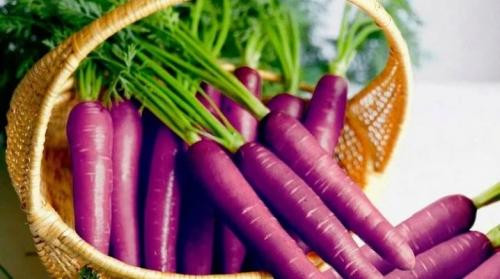 Почему морковь была фиолетовой. Все о фиолетовой моркови