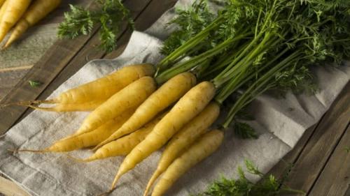 Морковь желтая. Полезные свойства желтой моркови, и в чем отличие от обычной оранжевой