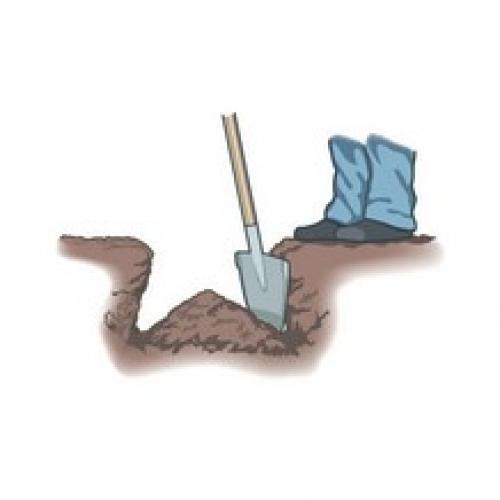 Как правильно посадить плодовые деревья весной: пошаговая инструкция 03 Как правильно посадить плодовые деревья весной: пошаговая инструкция 03