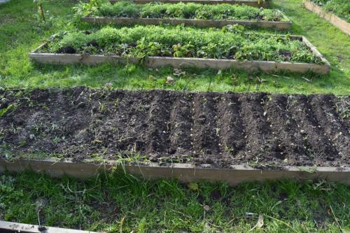 Когда сажать плодовые деревья: оптимальные сроки для вашего региона 06 Когда сажать плодовые деревья: оптимальные сроки для вашего региона 06