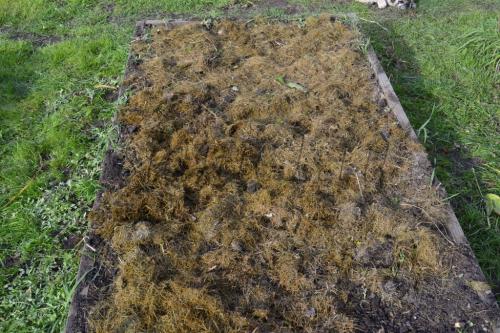 Когда сажать плодовые деревья: оптимальные сроки для вашего региона 04 Когда сажать плодовые деревья: оптимальные сроки для вашего региона 04