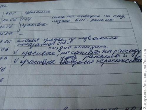 Что делать, если я пропустил оптимальное время для посадки. Не потерять и не забыть: организовываем сроки посева рассады