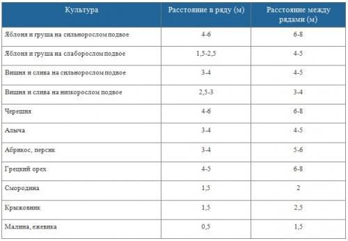Осенняя посадка деревьев и кустарников: почему это идеальное время для вашего сада 05 Осенняя посадка деревьев и кустарников: почему это идеальное время для вашего сада 05