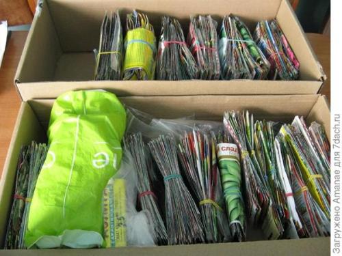 Что делать, если я пропустил оптимальное время для посадки. Не потерять и не забыть: организовываем сроки посева рассады