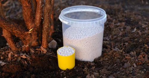 Можно ли использовать удобрения при посадке дерева осенью. Какими удобрениями подкармливать плодовые деревья осенью