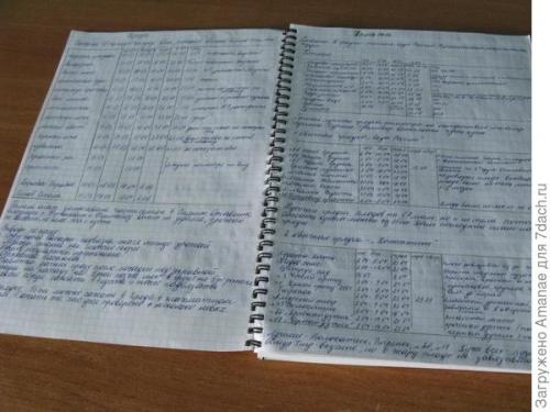 Что делать, если я пропустил оптимальное время для посадки. Не потерять и не забыть: организовываем сроки посева рассады