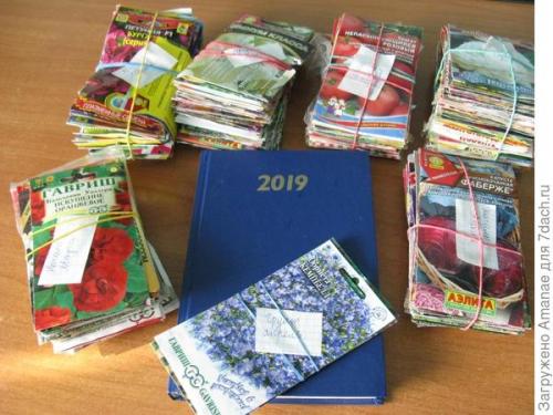 Что делать, если я пропустил оптимальное время для посадки. Не потерять и не забыть: организовываем сроки посева рассады