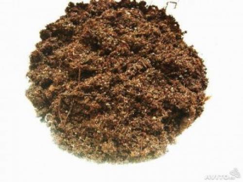 Полный гид по посадке деревьев весной: какие виды выбрать и как правильно сажать 14 Полный гид по посадке деревьев весной: какие виды выбрать и как правильно сажать 14