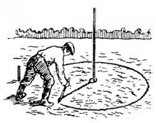 Полный гид по посадке деревьев весной: какие виды выбрать и как правильно сажать 11 Полный гид по посадке деревьев весной: какие виды выбрать и как правильно сажать 11