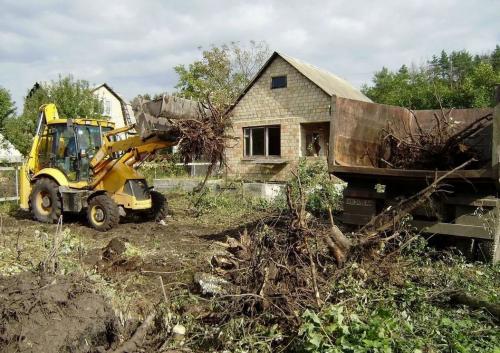Полное руководство по посадке саженцев плодовых деревьев весной 01