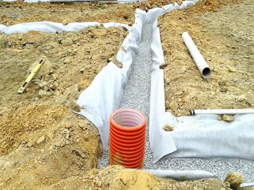 Полное руководство по посадке саженцев плодовых деревьев весной 02