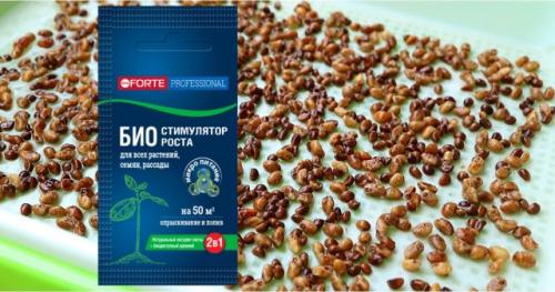 Как определить оптимальное время для посадки саженцев в моем регионе. Время прорастания семян