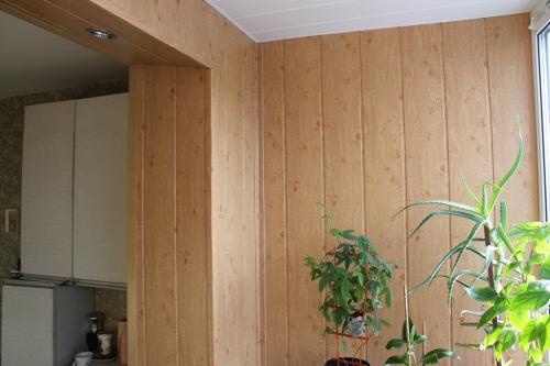 Кухня из пластиковых панелей своими руками. Дизайн кухни с пластиковыми панелями