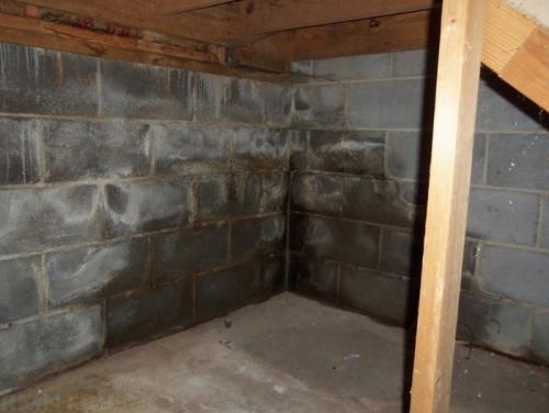 Как можно защитить погреб от намокания на зиму. Высокая влажность в пластиковом погребе: причины появления