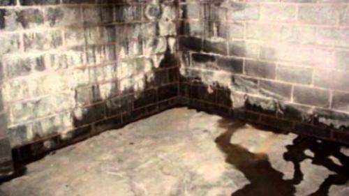 Как можно защитить погреб от намокания на зиму. Высокая влажность в пластиковом погребе: причины появления