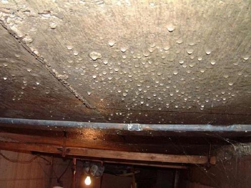 Как можно защитить погреб от намокания на зиму. Высокая влажность в пластиковом погребе: причины появления