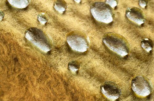 Утепление пола в деревянном доме. Полы по лагам 04