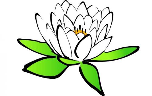 Трафарет цветов для вырезания из бумаги шаблоны. Трафареты цветов