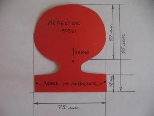 Цветы из бумаги на стену своими руками. Как сделать цветы из бумаги на стену 11