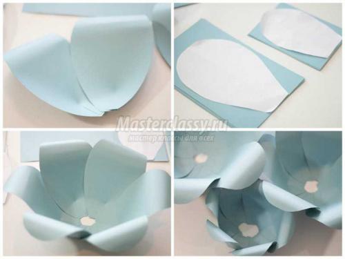 Цветы из бумаги на стену своими руками. Как сделать цветы из бумаги на стену 01