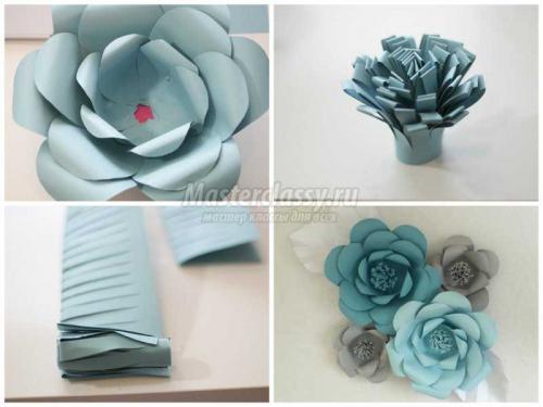 Цветы из бумаги на стену своими руками. Как сделать цветы из бумаги на стену 02