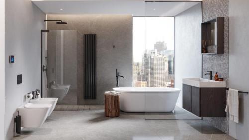 Дизайн интерьера серой ванной комнаты. Достоинства и недостатки серого цвета в дизайне ванной