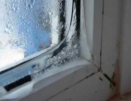 Запотевание пластиковых окон внутри стеклопакета. Потеет стеклопакет внутри