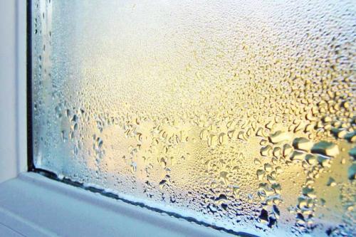 Потеют пластиковые окна внутри стеклопакета, что делать. Почему стеклопакет потеет внутри между стеклами