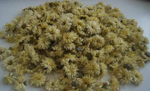 Хризантема мультифлора выращивание из семян. Хризантема мультифлора: особенности, разновидности и выращивание 20 Хризантема мультифлора выращивание из семян. Хризантема мультифлора: особенности, разновидности и выращивание 20