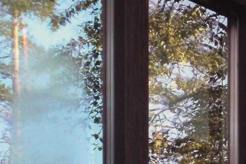 Потеют пластиковые окна внутри стеклопакета, что делать. Почему стеклопакет потеет внутри между стеклами