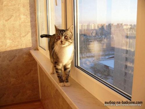 Добавьте пространство и комфорт к своей хрущевке: создание балкона своими руками 15 Добавьте пространство и комфорт к своей хрущевке: создание балкона своими руками 15