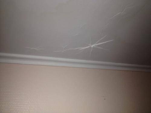 Промок потолок из гипсокартона. Что будет с потолком из гипсокартона если его зальют сверху